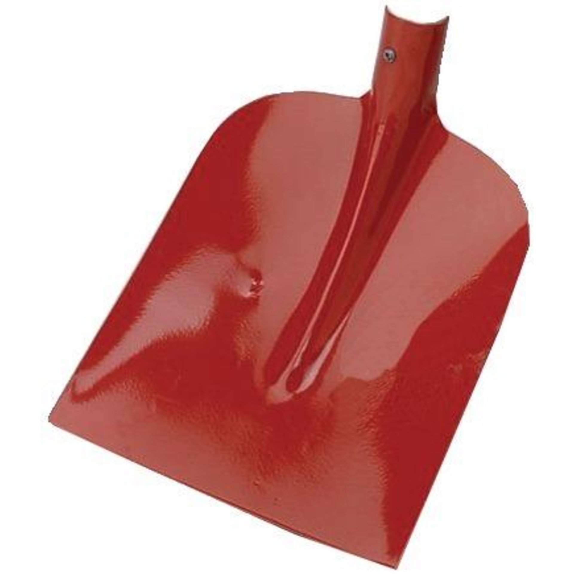 Holsteiner Schaufel, Import