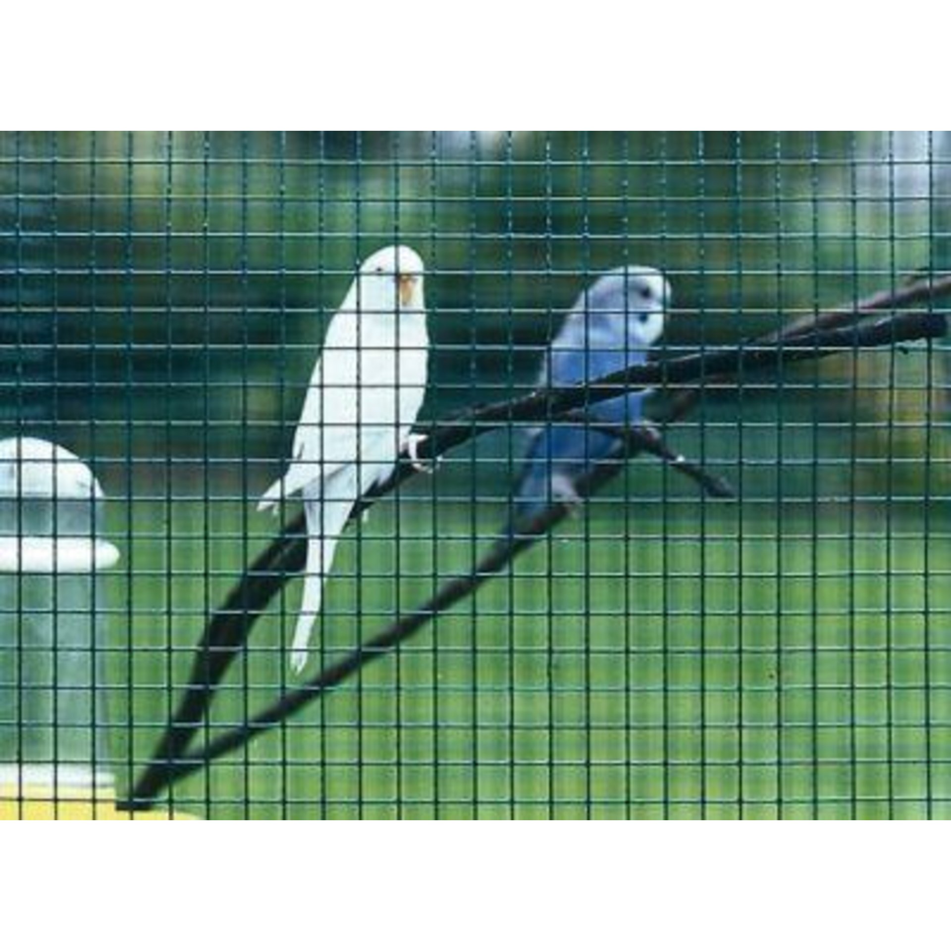 Casanet®Gitter, Kurzrolle