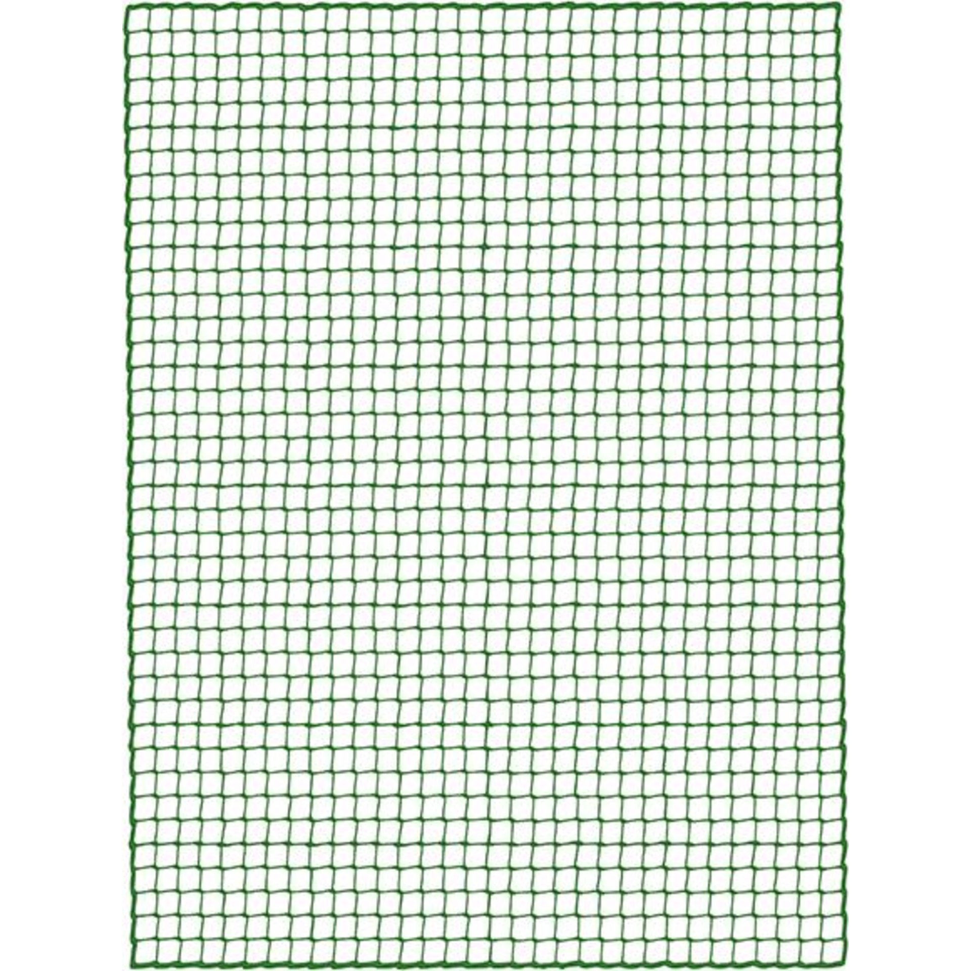 Ladungssicherungsnetz