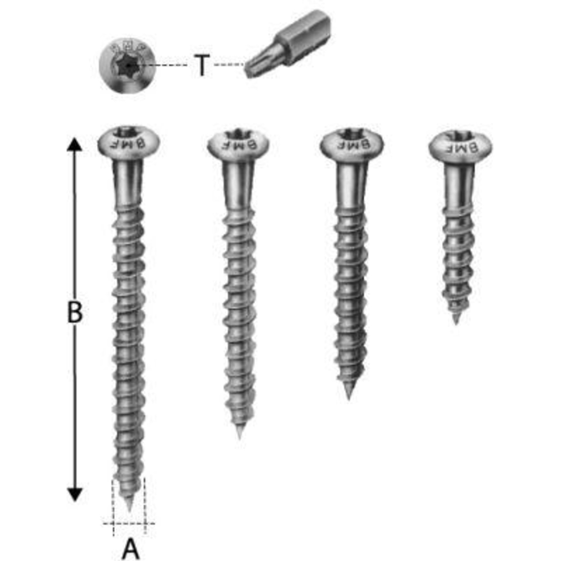 CSA Schraube