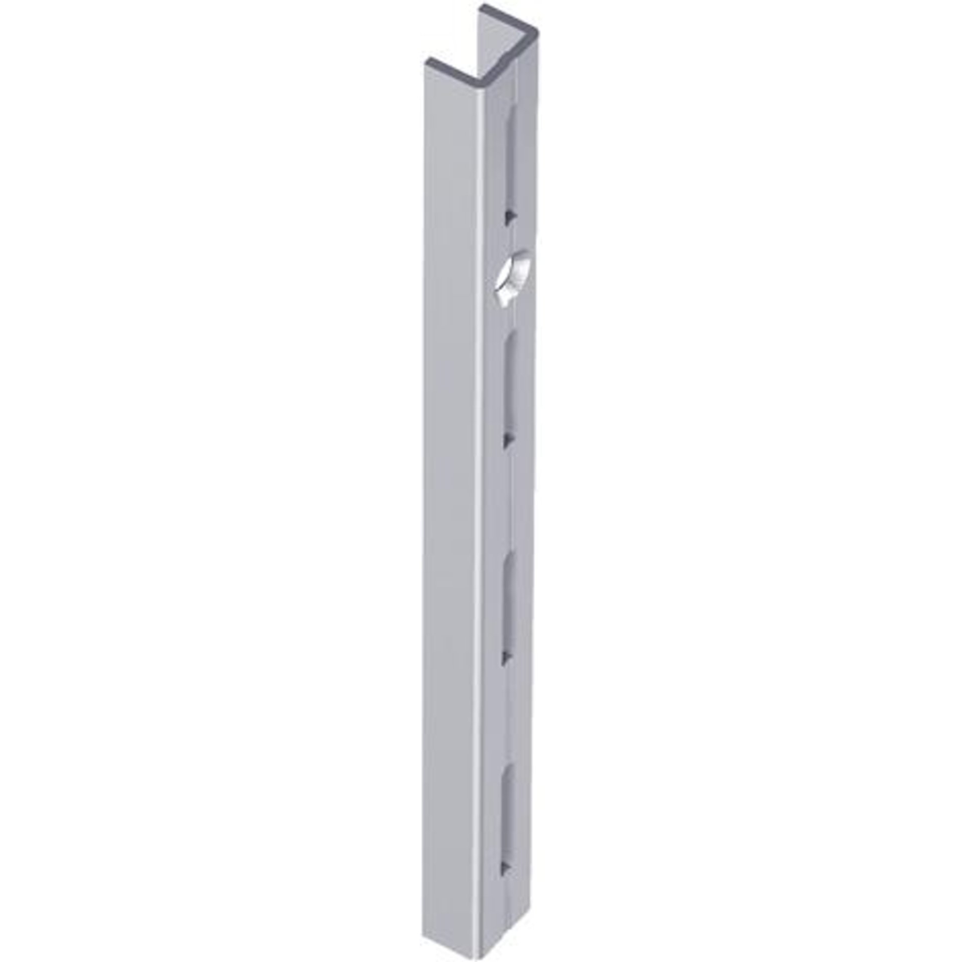 Wandschiene Nr. 10000 (5000), Element 50