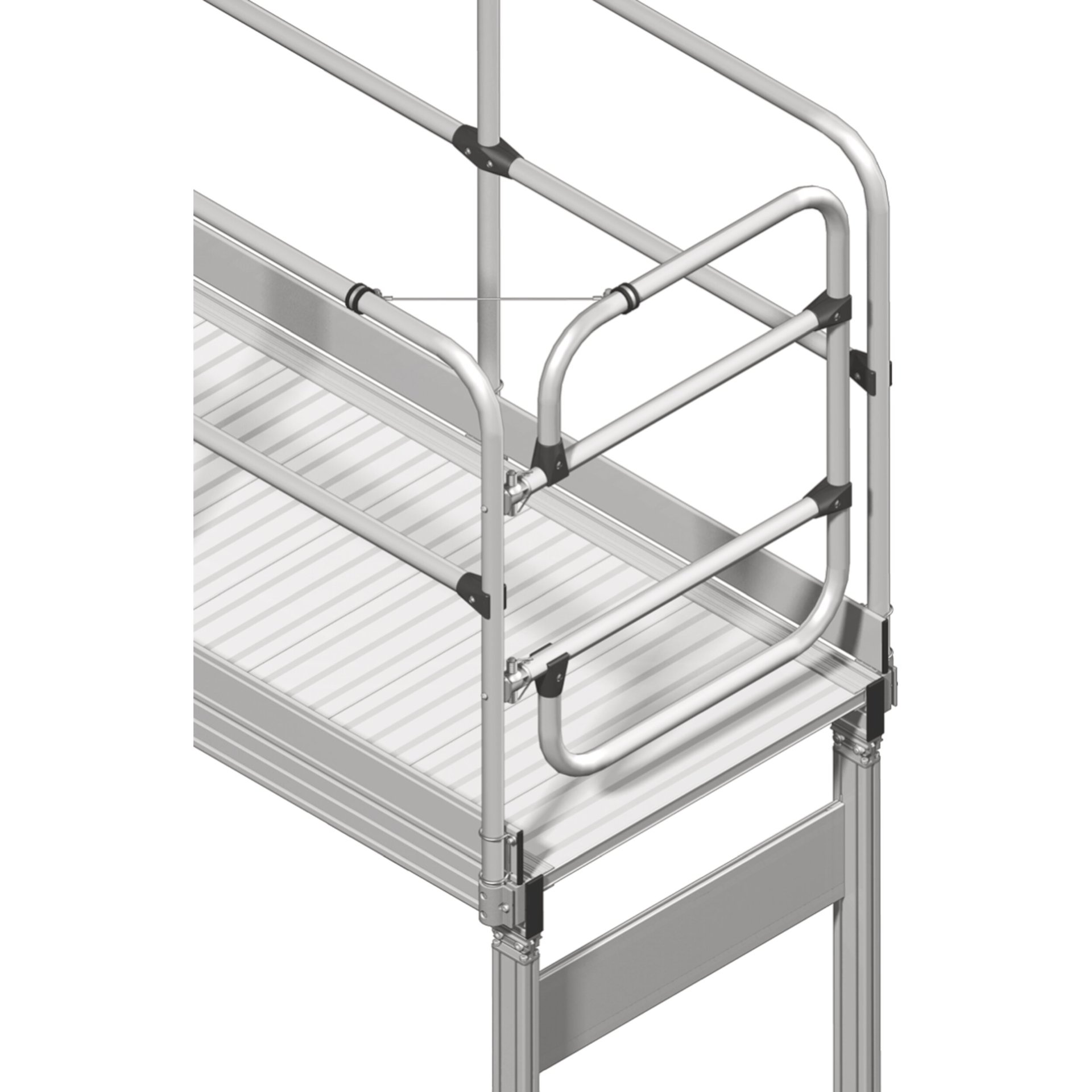 Schwenktüre für 800 mm Plattformbreite