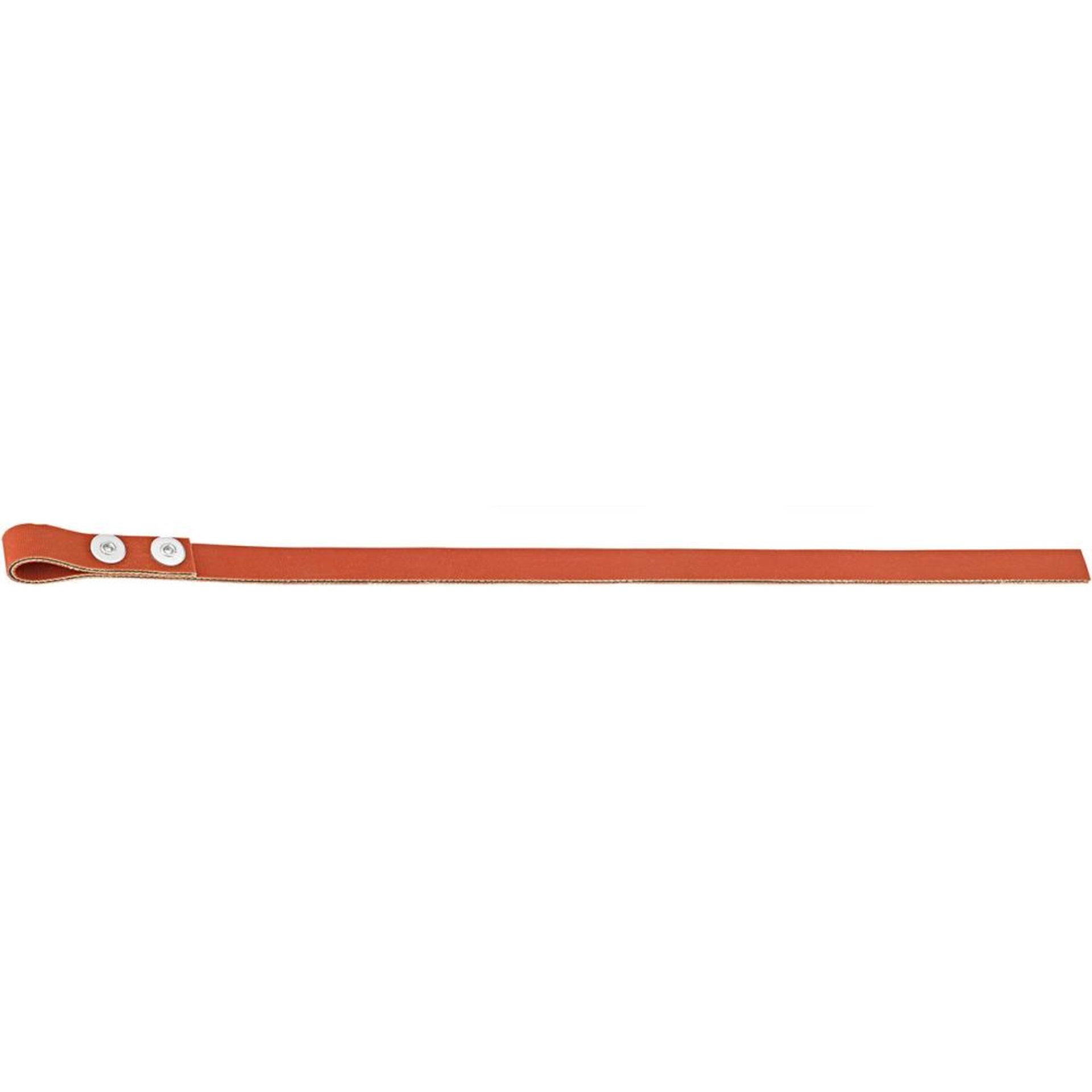 Band für Bandschüssel 225mm FORTIS