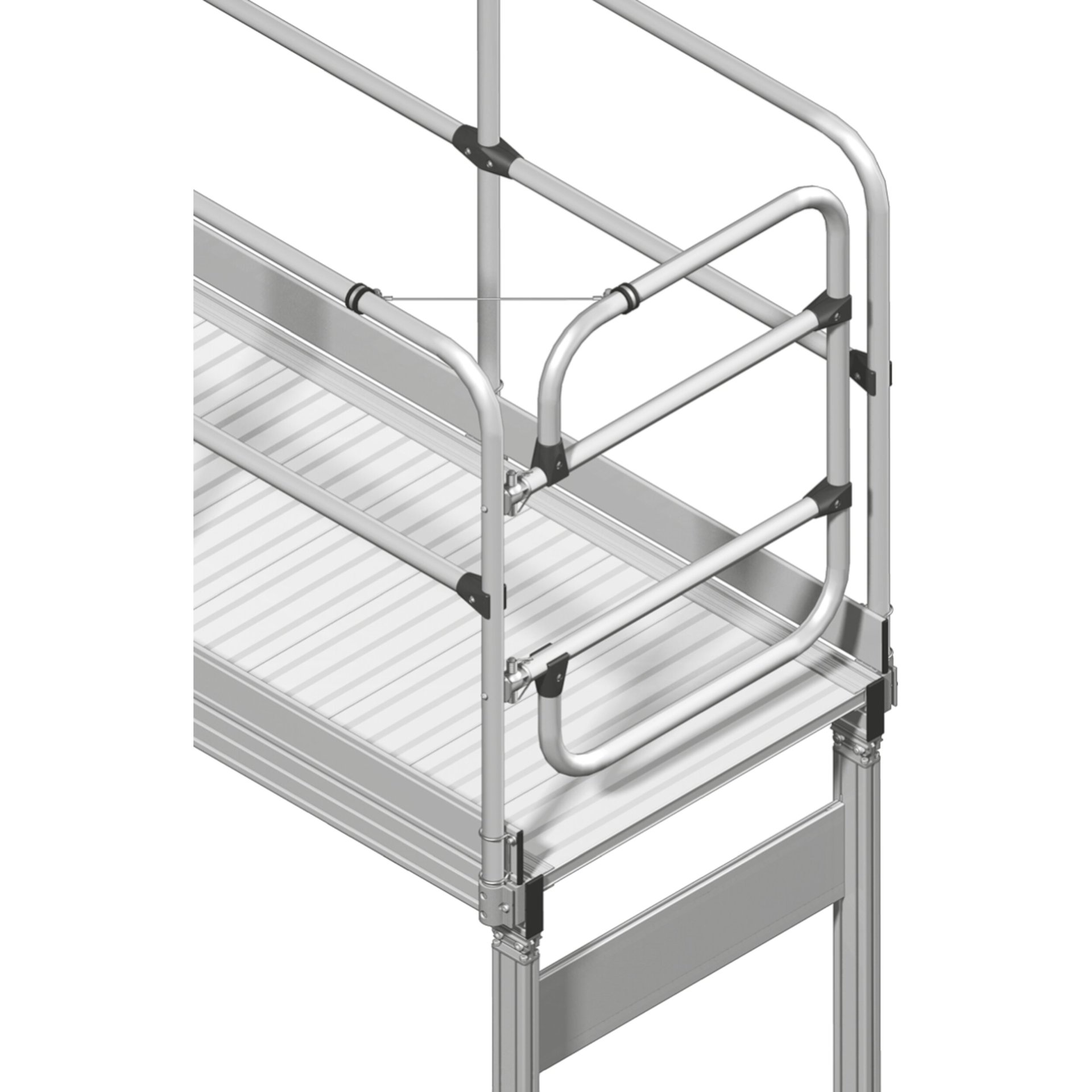 Schwenktüre für 1000 mm Plattformbreite
