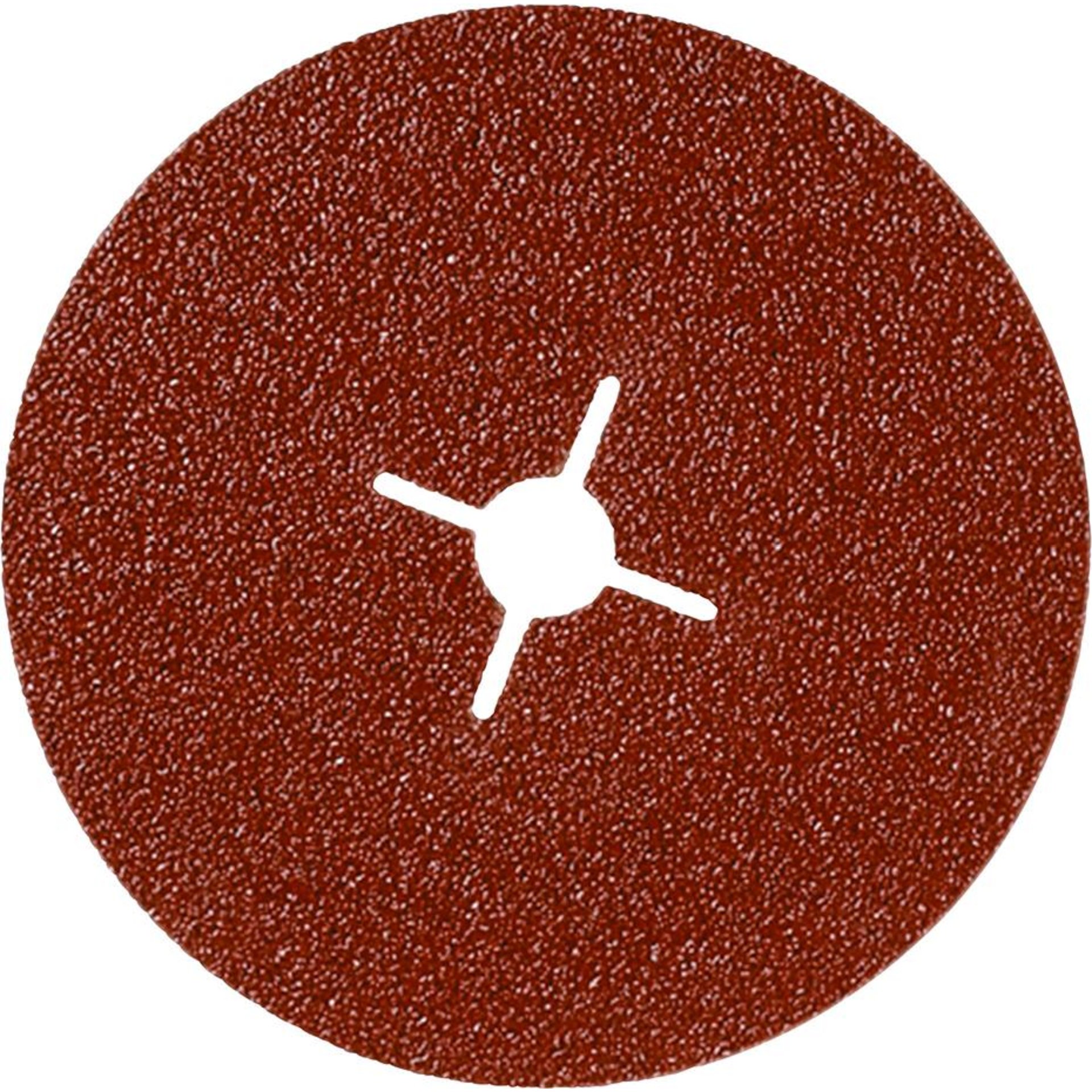 Fiberschleifscheibe F100