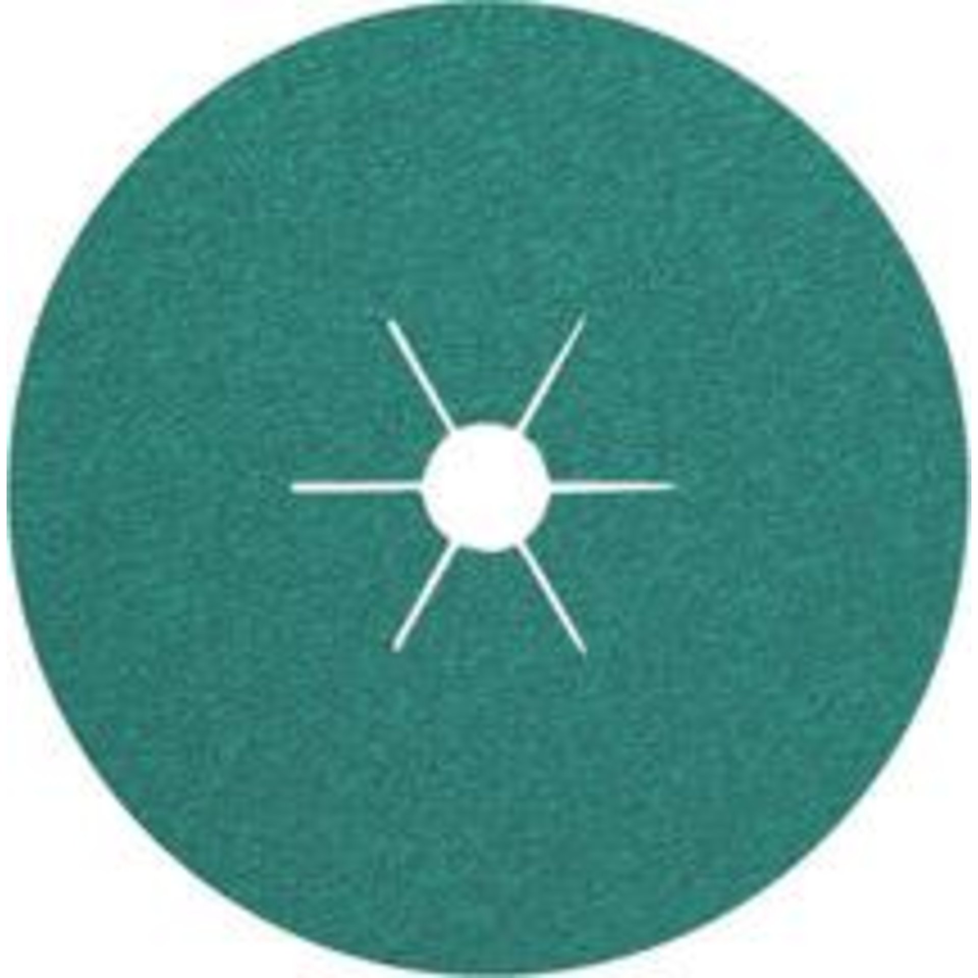 Fiberschleifscheibe CS 570