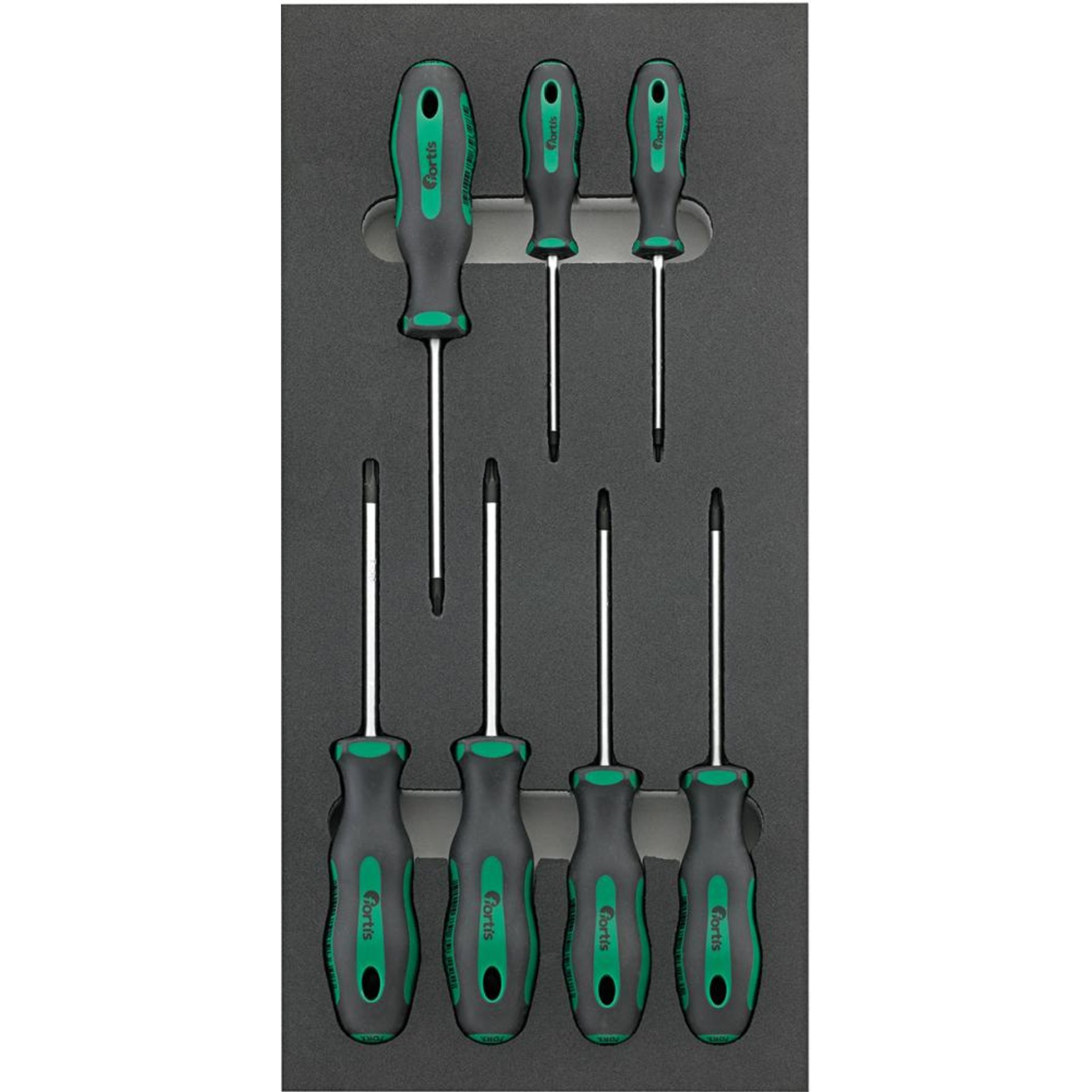 Werkzeugmodul Schraubendreher TORX®