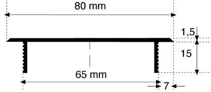 Stegblech 80x300 mm, F1 Schlitzlochung 30x5 mm