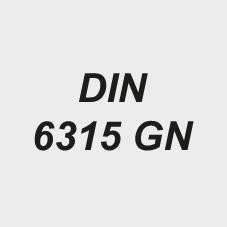 Spanneisen DIN6315GN 22x250mm AMF