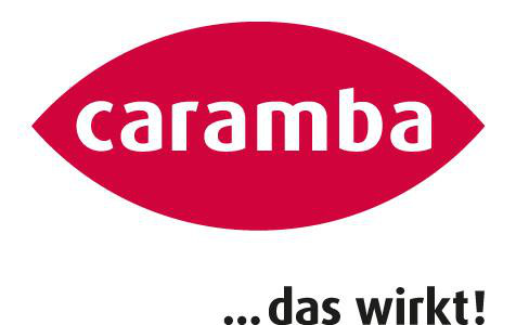 Intensiv Glas-Reiniger- Schaum 500ml CarambaLagerbesorgung