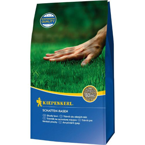 Schatten-Rasen 2 kg Kiepenkerl