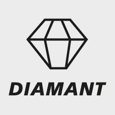 Bit Diamant 1/4" DIN3126E6,3 PZ2x50mm Wera